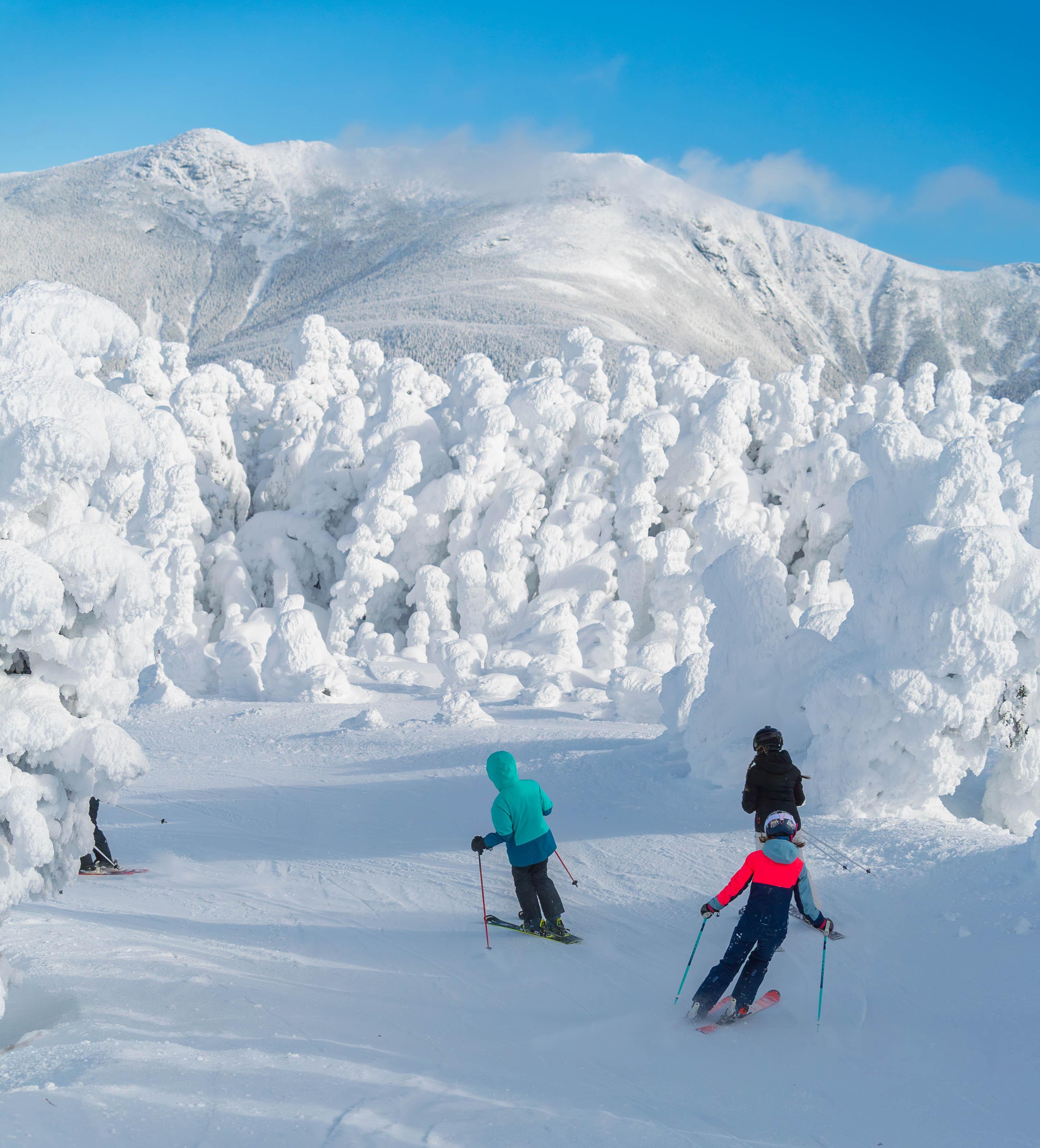 3 skiers with snow covered trees and Franconia Ridge