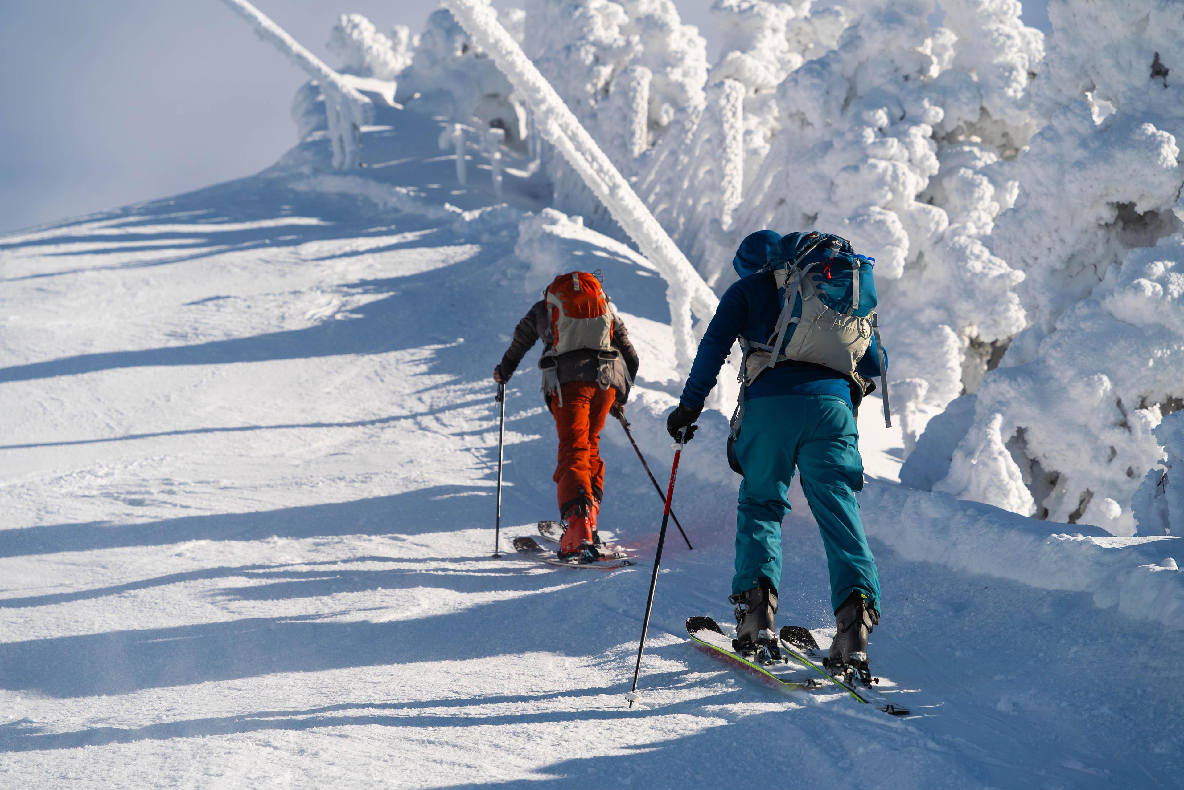 DSC05698 Enhanced NR