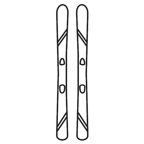 skis icon