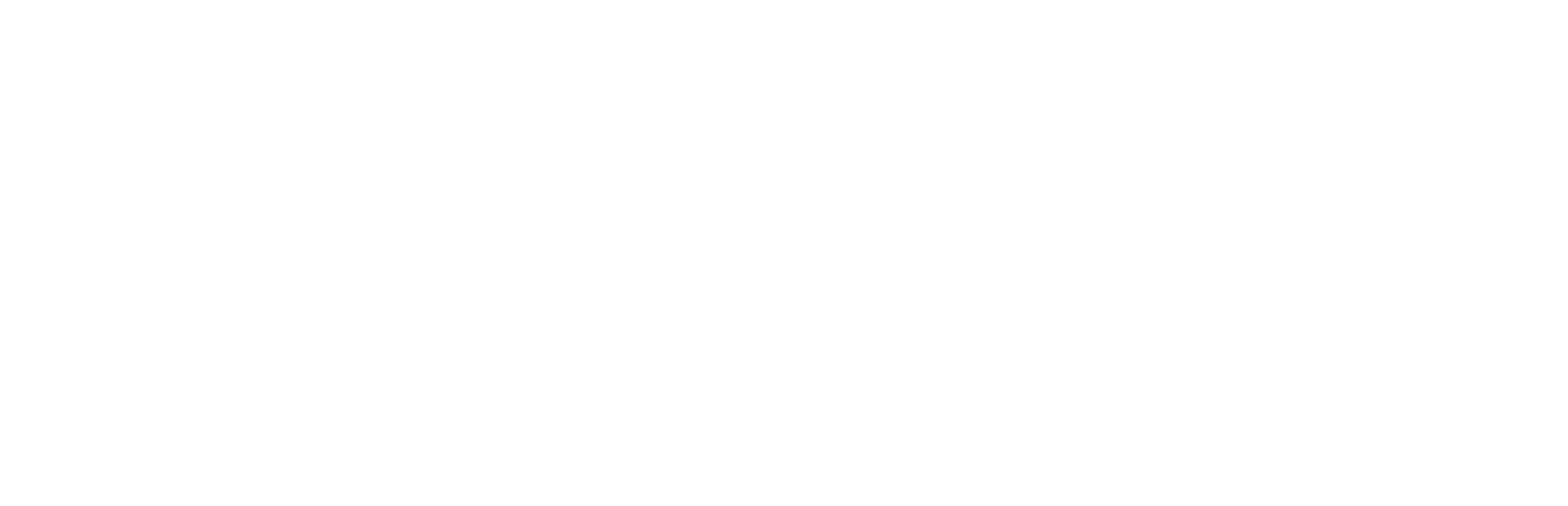 Bern Logo W