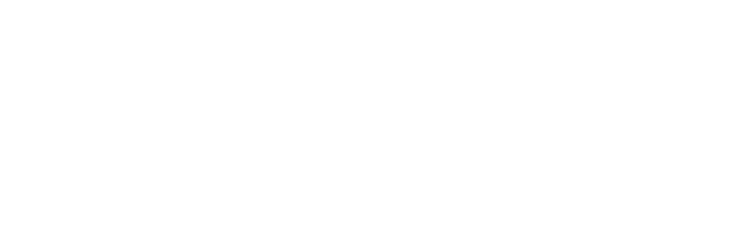 Blizzard Technica W