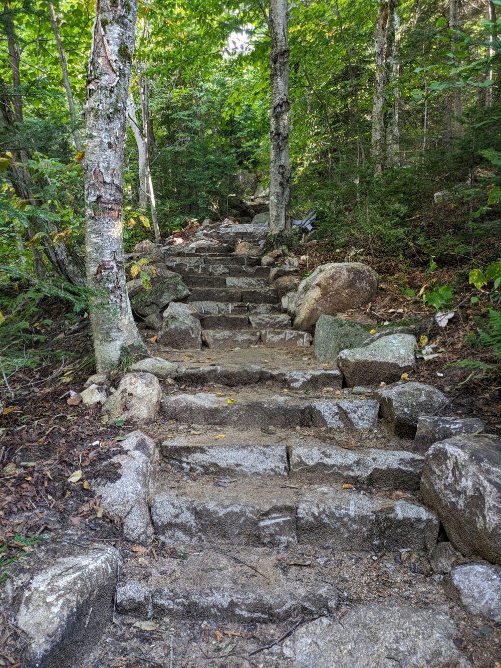 after picture from the ridge loops, steps
