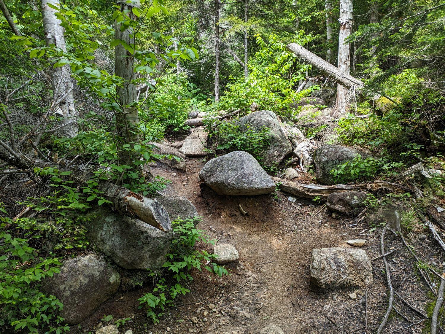 Before photo from the ridge loop
