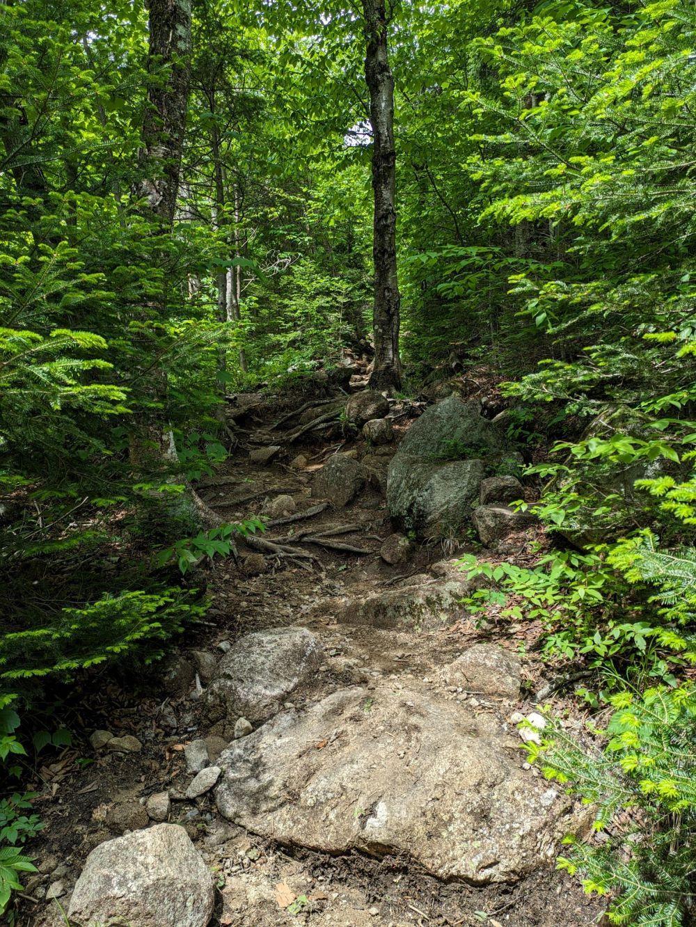 Before photo from the ridge loop