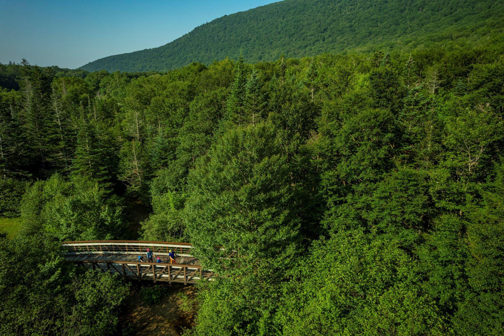 Drone shot of the bike path nestled in green trees