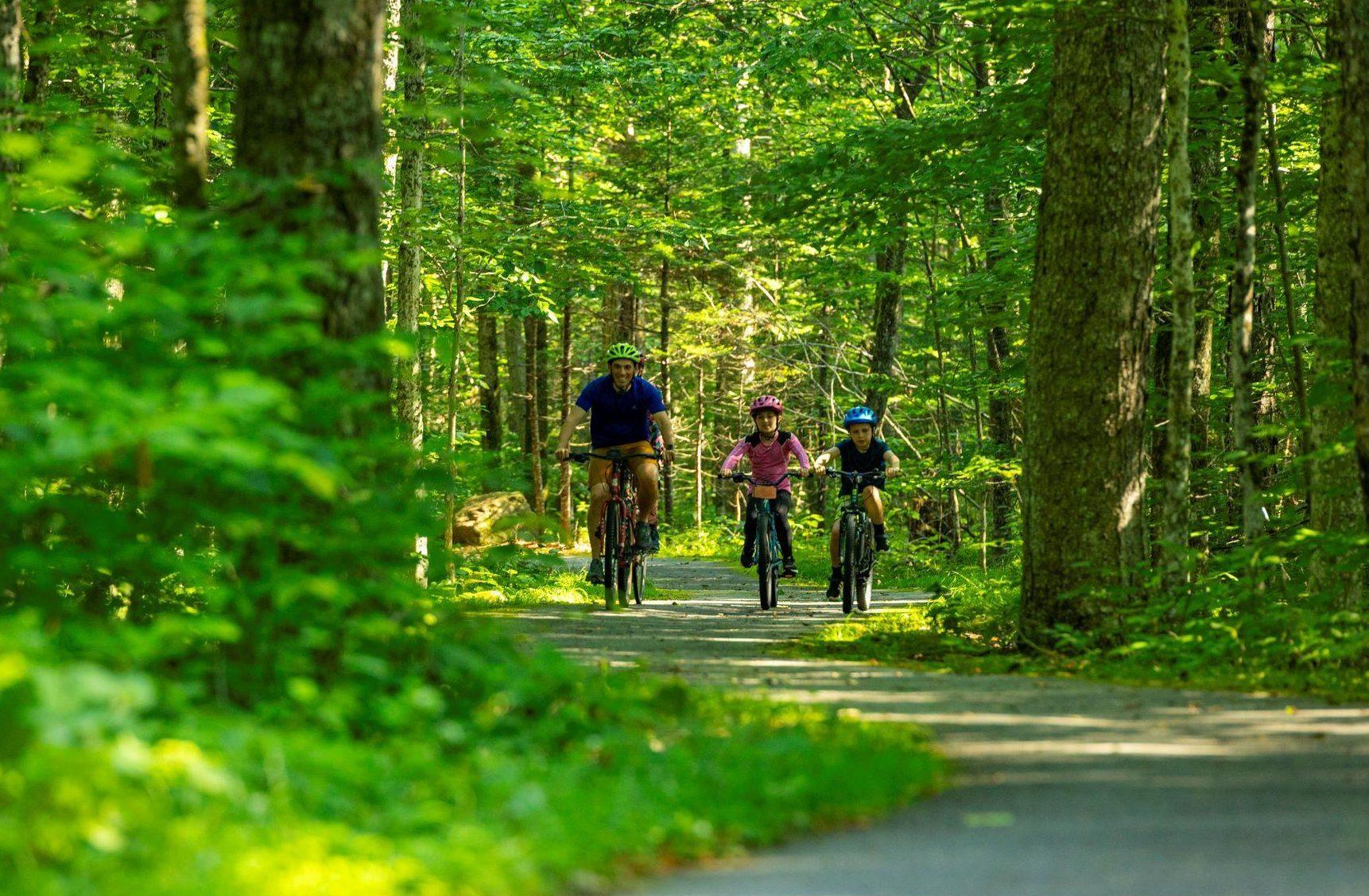 Bikers path surrounded by green trees