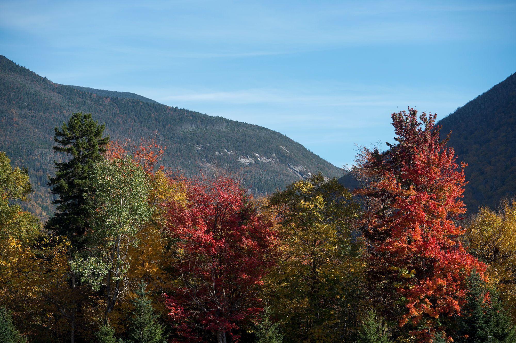 Red, yellow and green fall trees with mountains