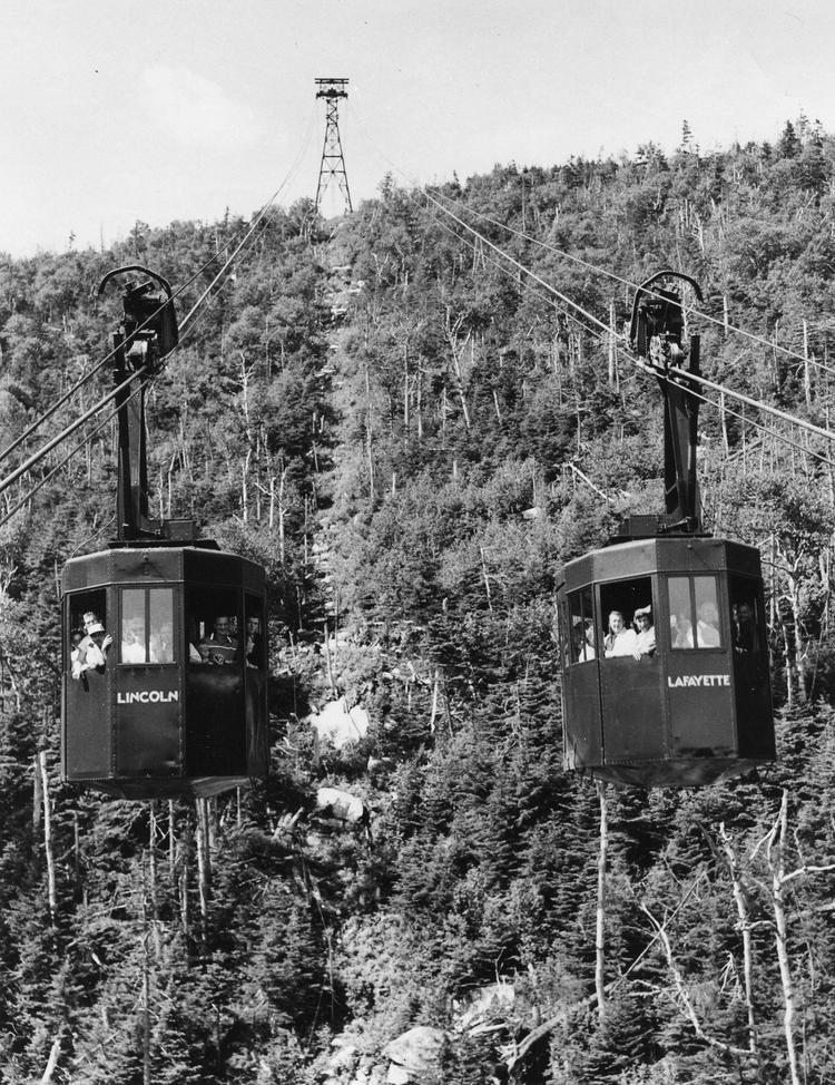 Trams