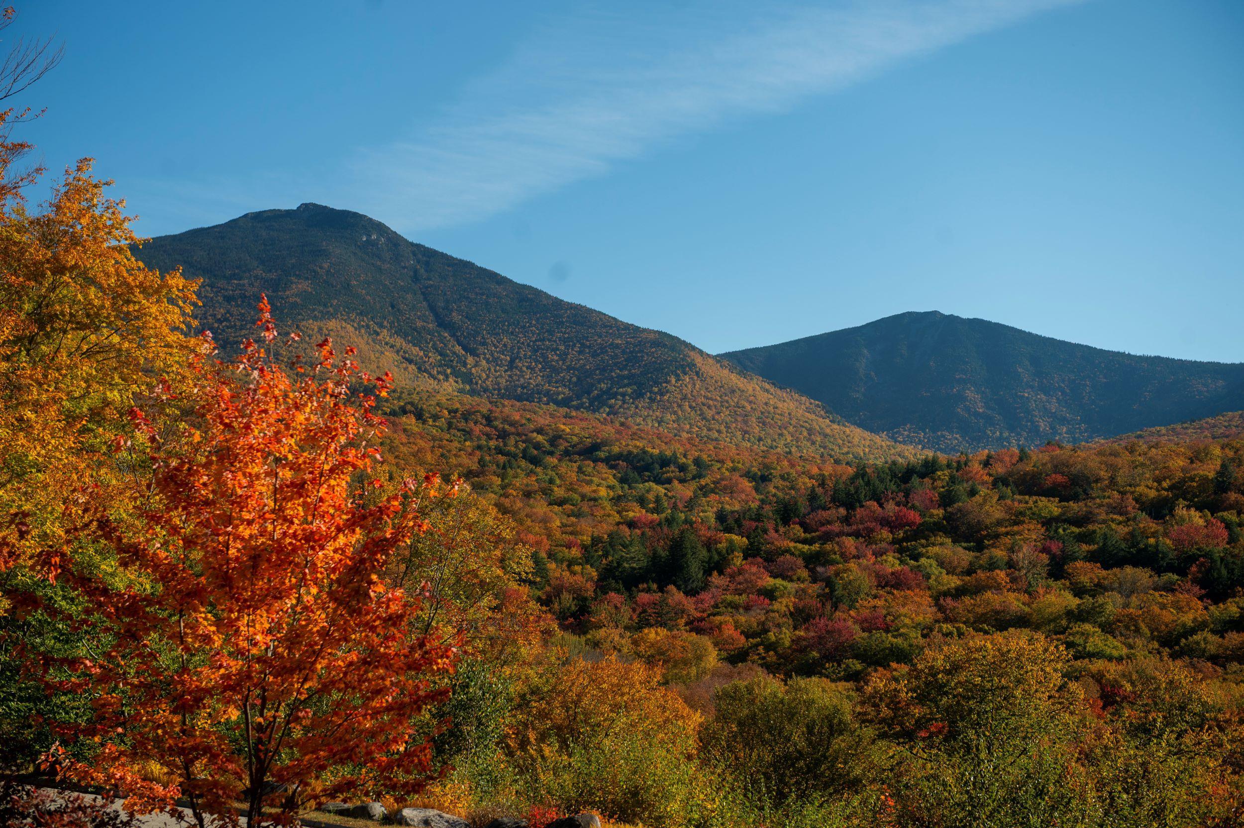 View of Mount Flume white golden and red fall foliage at the base.