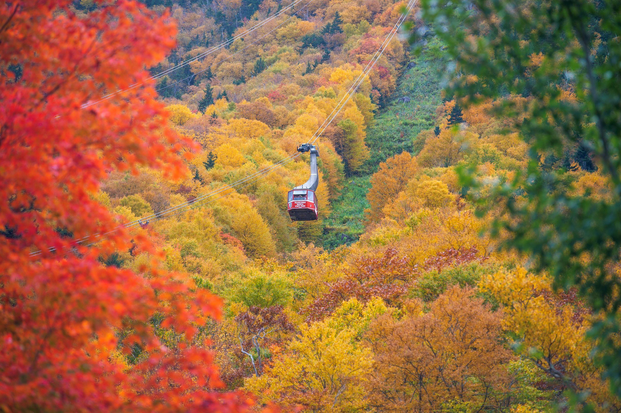 The Red tram car descends among vibrant red and yellow foliage.