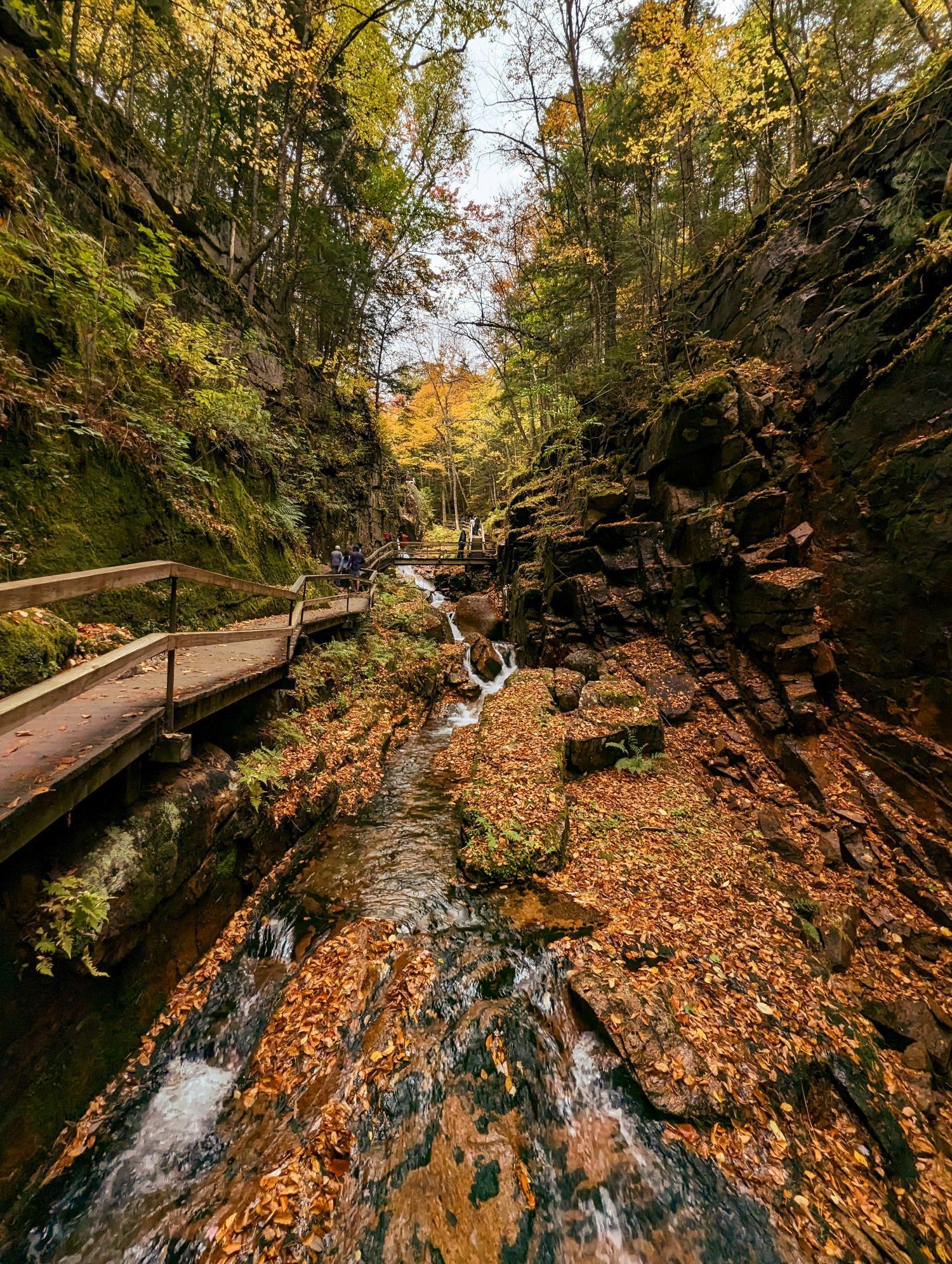 Flume Gorge walkway with golden brown leaf litter on the rocks.