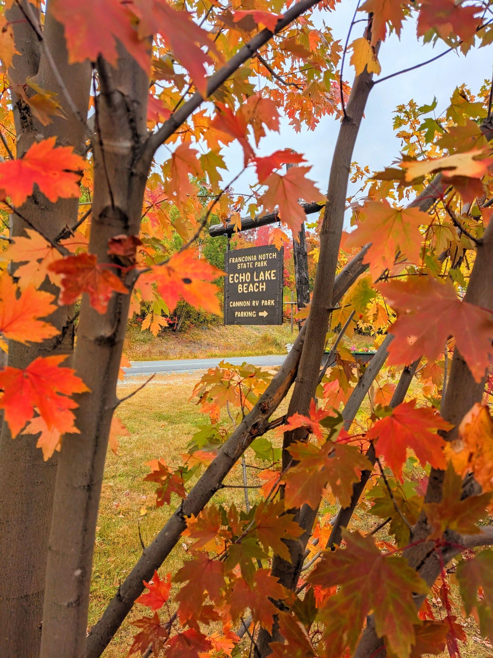 Red and orange fall foliage frames the Echo Lake sign.