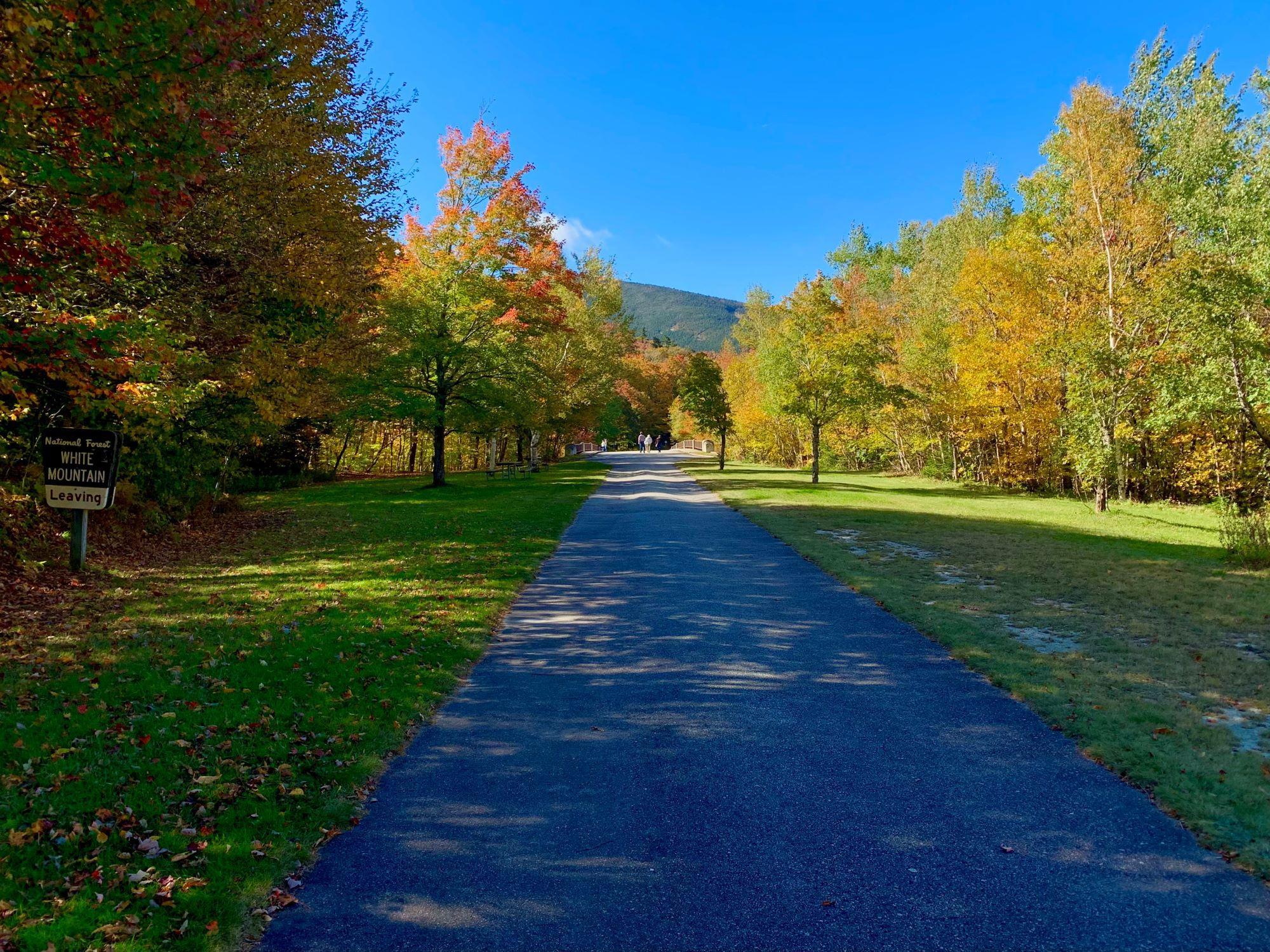 The paved bike path with golden fall foliage