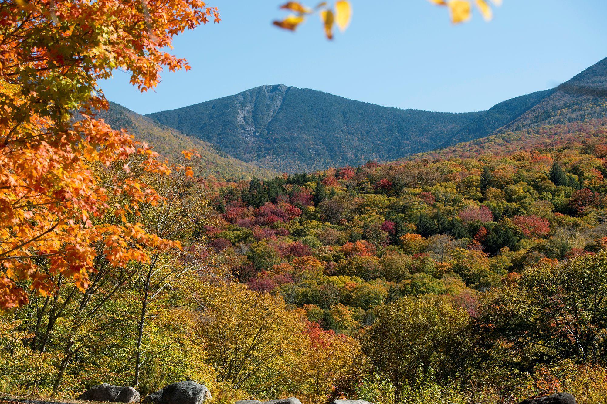 Mount Flume with fall foliage at the base.