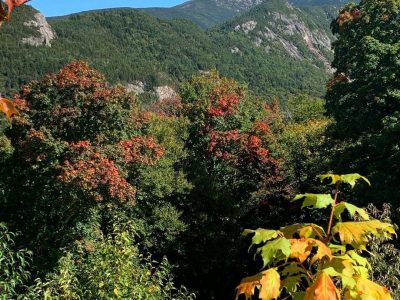 Fall colors are just starting to emerge in Franconia Notch State Park. We expect the color to start to really pop over the next couple of weeks. Make sure we are a stop on your foliage tour! 
#franconianotch 
#nhstateparks 
#cannonmountain 
#flumegorge 
#visitnh 
#fallfoliage