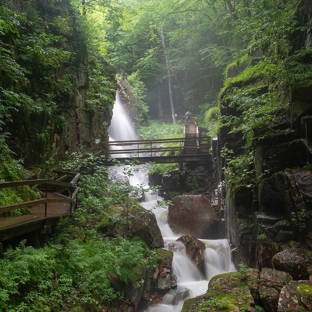 The Flume is looking mighty fine this summer! Don't miss your chance to take in the emerald walls and flowing waters. Reserve your tickets ahead of time to secure your spot. 
@skinewhampshire 
#franconianotch 
#nhstateparks 
#flumegorge